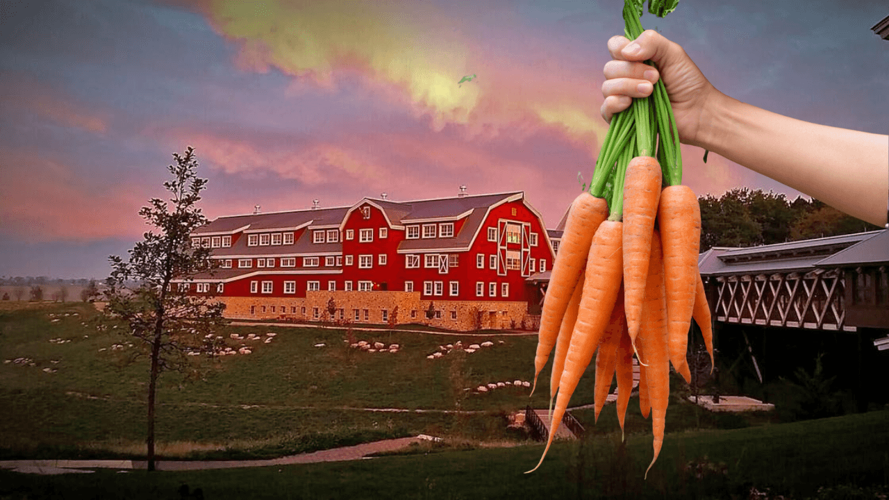 Epic Offers Organic, Home-Grown Carrots as an ARRA Alternative for Docs