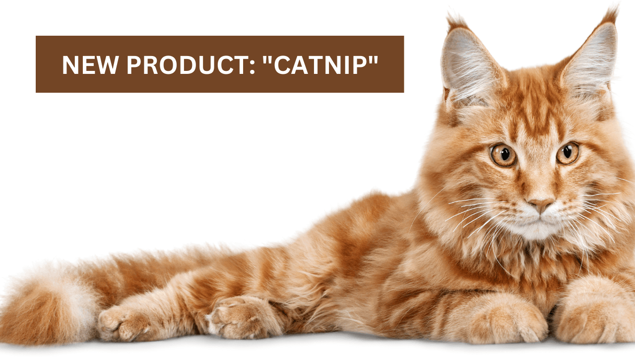 New Product: ‘Catnip’ Veterinary EMR Gets Dew Claws Up