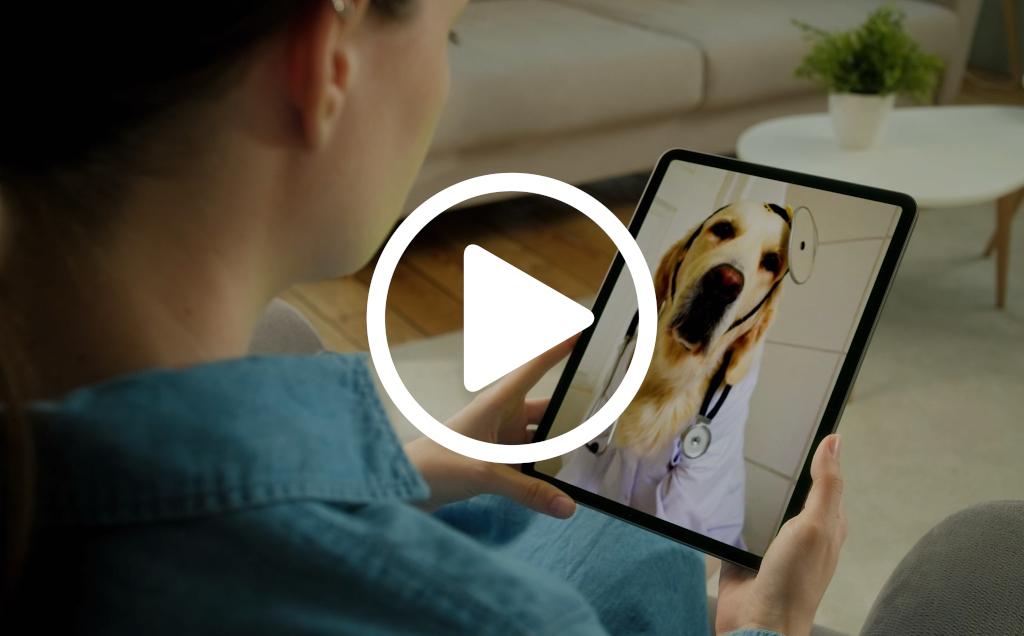 Dr. Schnauzer Will See You Now